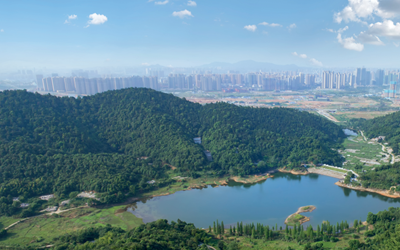 东升国际官网-钻营健全,你我一路成长