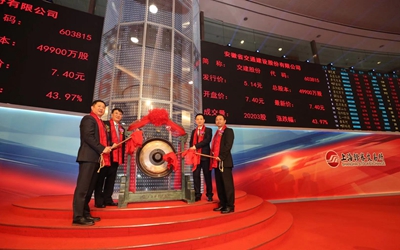 东升国际官网-钻营健全,你我一路成长