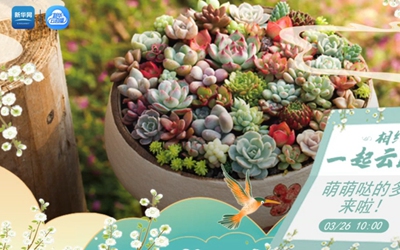 东升国际官网-钻营健全,你我一路成长