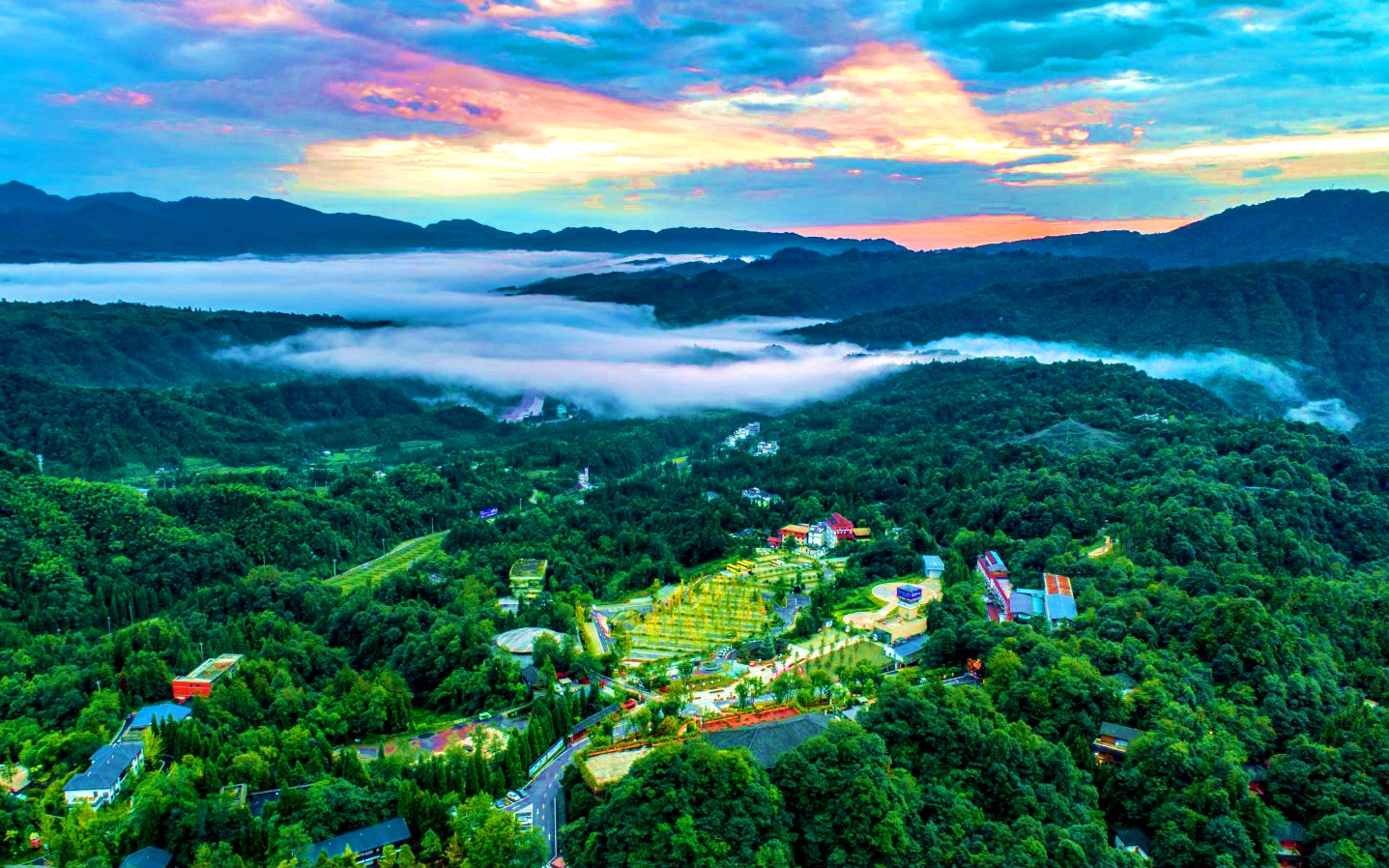 东升国际官网-钻营健全,你我一路成长