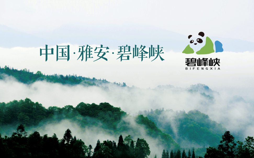 东升国际官网-钻营健全,你我一路成长