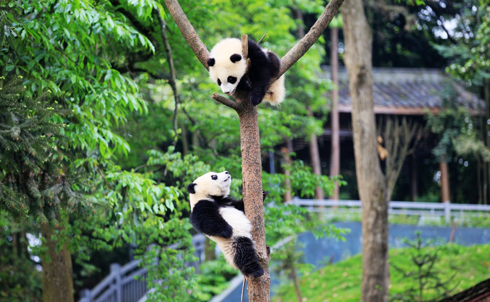 东升国际官网-钻营健全,你我一路成长