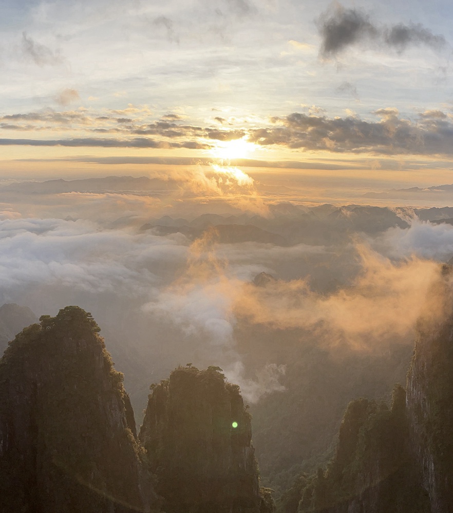 东升国际官网-钻营健全,你我一路成长