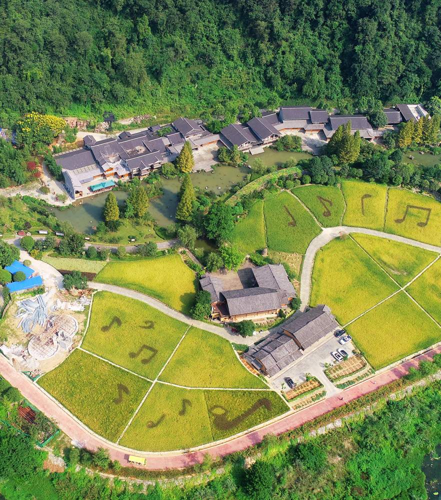 东升国际官网-钻营健全,你我一路成长