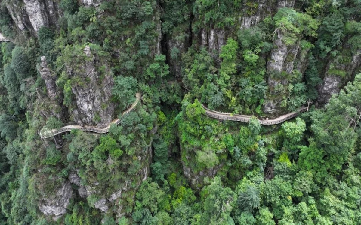 东升国际官网-钻营健全,你我一路成长